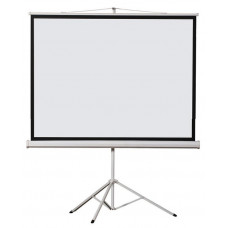 Проектор штатив Screen100" (203 x 152 см) Проектор штатив Screen100" (203 x 152 см)